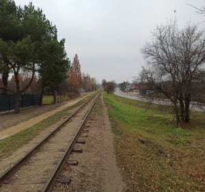 Wzdłuż wąskotorówki - Kamionka - 3
