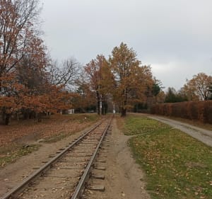 Wzdłuż wąskotorówki - Kamionka - 4