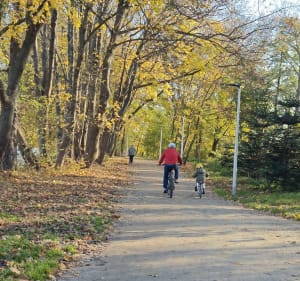 Ścieżka pieszo-rowerowa wokół toru wyścigów konnych - Wrocław - 4