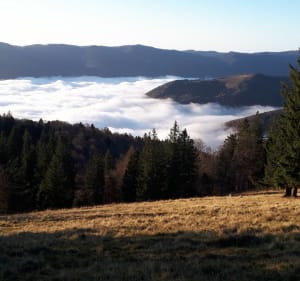 Un grand 8 autour du Markstein - Fellering - 3