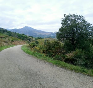 Les hauteurs de Banyuls et retour par la côte - Banyuls-sur-Mer - 4