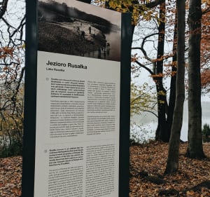 Rusałka  - spacer dokoła jeziora. - Poznań - 4