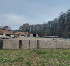 Piotrowice Stadion - Kamionka - stajnia Dolina Jamny - Halem - Katowice - 4