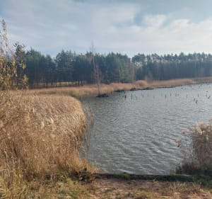 Pętla nad Zalew Łęg - Jaworzno - 3