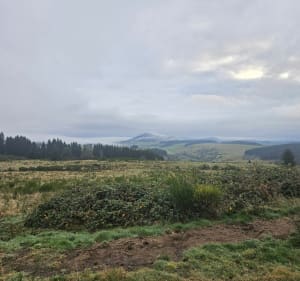 De Pessade jusqu'au puy de Paladou - Saulzet-le-Froid - 3