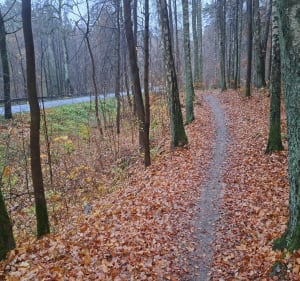 Trasa Redykajny - Dywity - Olsztyn - 3