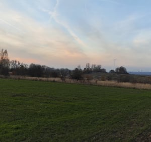 Libiąskie pola i panoramiczny widok na las - Libiąż - 3