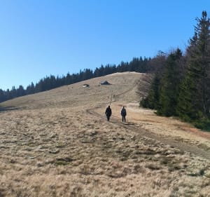 Krótka pętla do schroniska na Rycerzowej Hali - Soblówka - 3