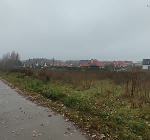 Las za osiedlem Bajkowym - Olsztyn - 4