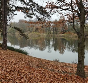 Pętla wokół Parku Sołackiego - Poznań - 4