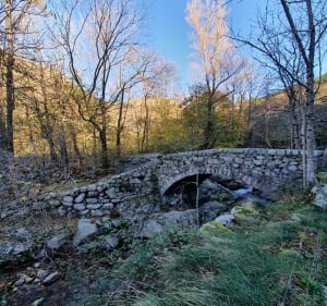 Antraigues-sur-Volane, le Ranc Chabrier - Claude - 4