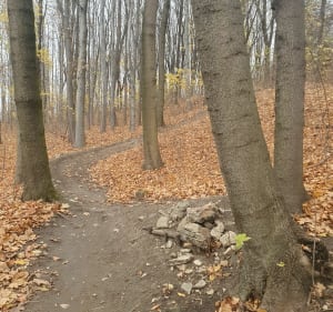 Velo Dorotka - Czeladź - 5