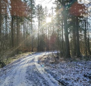 Bieganie lub spacer - Giżycko - 4