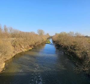 Miodowy szlak rowerowy Łańcut-Czarna - Łańcut - 3