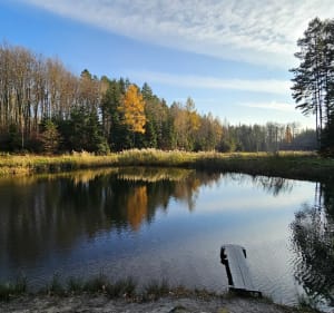 Miodowy szlak rowerowy Łańcut-Czarna - Łańcut - 4