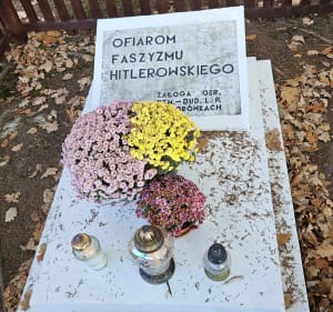 Miodowy szlak rowerowy Łańcut-Czarna - Łańcut - 5
