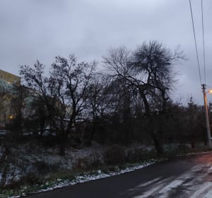 Slasem rzeki Jasień - Łódź - 3