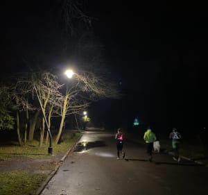 Park im. Jacka Kuronia - duża pętla - Sosnowiec - 3
