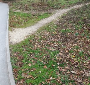 Zakrzówekz strona zachodnia - Kraków - 4