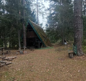 Wycieczka z Białegostoku do Supraśla - Białystok - 4