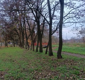 Pętla Rubinkowo - Toruń - 3