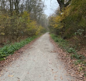 Jezioro Dziewicze w Kotowicach pętla - Kotowice - 3