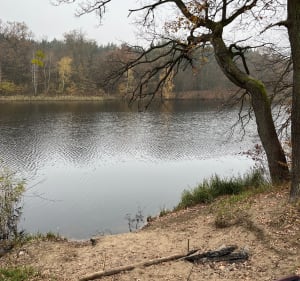 Jezioro Dziewicze w Kotowicach pętla - Kotowice - 4