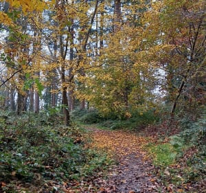 Rando du Mingrey, depuis Saint-Gilles - Saint-Gilles - 3