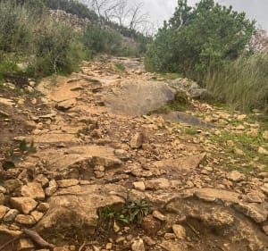 De Sanilhac à Collias, par les Condamines - Sanilhac-Sagriès - 3