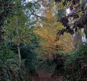 Rando du Mingrey, depuis Saint-Gilles - Saint-Gilles - 4