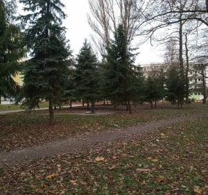 Park Kielecki o Ogród Jordanek - Łódź - 4