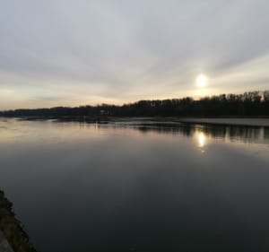 Spacer na taras widokowy Kępa Bazarowa - Toruń - 4