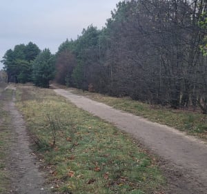 Spacer Rynkowo - Bydgoszcz - 3