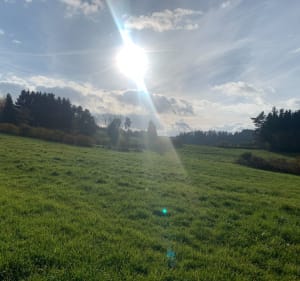St-Romain-Lachalm - Emma - 4