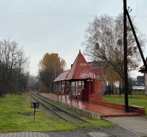 Miejsko-leśna pętla po lesie przy rezerwacie Segiet. - Bytom - 5