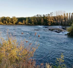 Garonne, son canal, platanes et écluses autour de Tonneins - Tonneins - 3