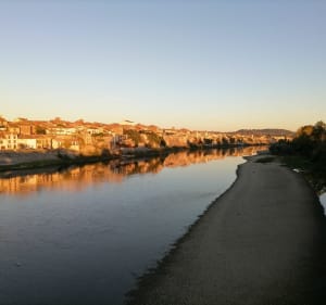 Garonne, son canal, platanes et écluses autour de Tonneins - Tonneins - 4