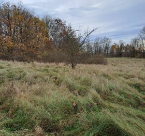 Uroczysko Kostrze i ruiny fortu Bodzów - Kraków - 3