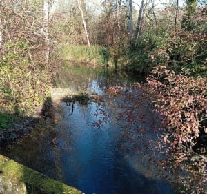 Boucle du Boulou - Paussac-et-Saint-Vivien - 4