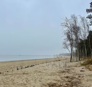 Górki zachodnie - Gdańsk - 4