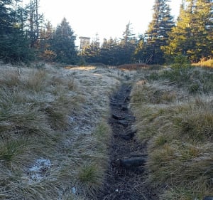 Czarnica żólty szlak z Bielic - Bielice - 4