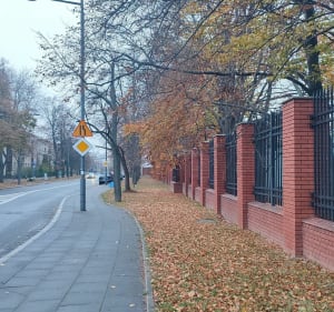 Wisła i uliczki Saskiej Kępy - Warszawa - 5