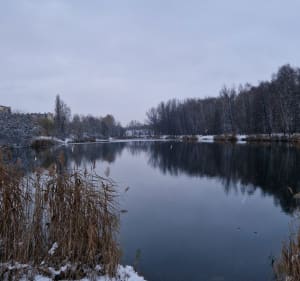 Jeziorko w zasięgu ręki - Bytom - 4