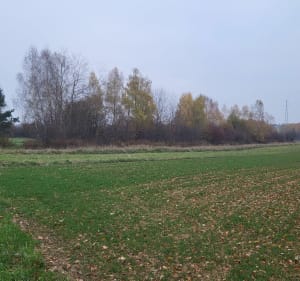 Abramowice Prywatne - Abramowice Prywatne - 4