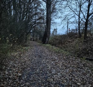 Spacer dookoła Lasku Kuźnickiego - Wrocław - 5