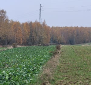 Abramowice Prywatne - Abramowice Prywatne - 5