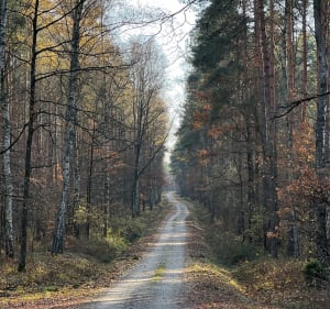 Rezerwat Jeleń - Maciej - 4
