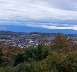 Petite balade au dessus de Monein - Valerie - 3