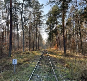 Rezerwat Jeleń - Maciej - 3