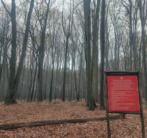 Ochojec -Murcki - Mysłowice Wesoła Fala -  Giszowiec-Ochojec - Katowice - 3